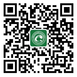 关注我们